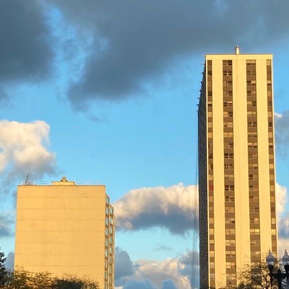 Meet your Posher, Treasure - Picture 1 of 1